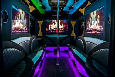 luxury party bus